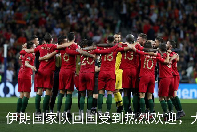 伊朗国家队回国受到热烈欢迎，大批球迷接机